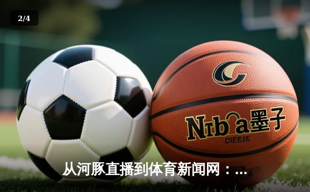 从河豚直播到体育新闻网：数字时代体育内容消费的变革与未来 - 2