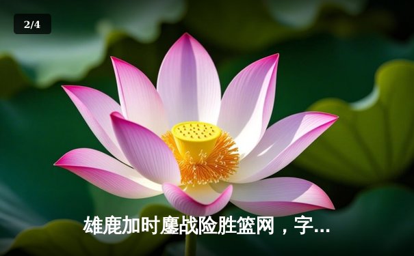 雄鹿加时鏖战险胜篮网，字母哥44分准三双主宰关键时刻 - 2